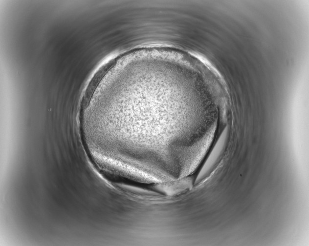 X0000084561189200703161659