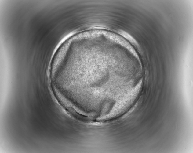 X0000084561190200703161659