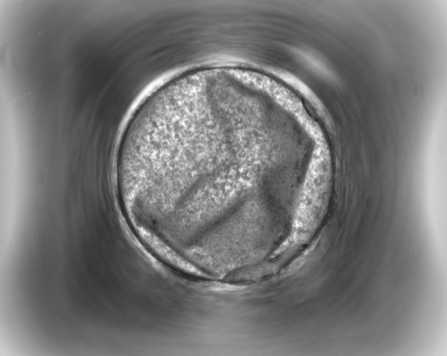 X0000084561191200703161659