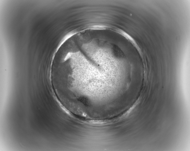 X0000084561194200703161659