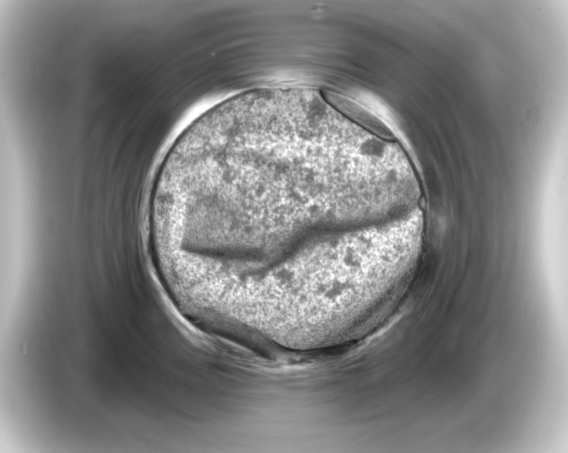 X0000084561195200703161659