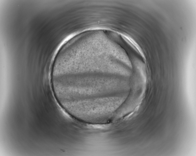 X0000084561197200703161659