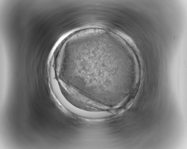 X0000084561200200703161659