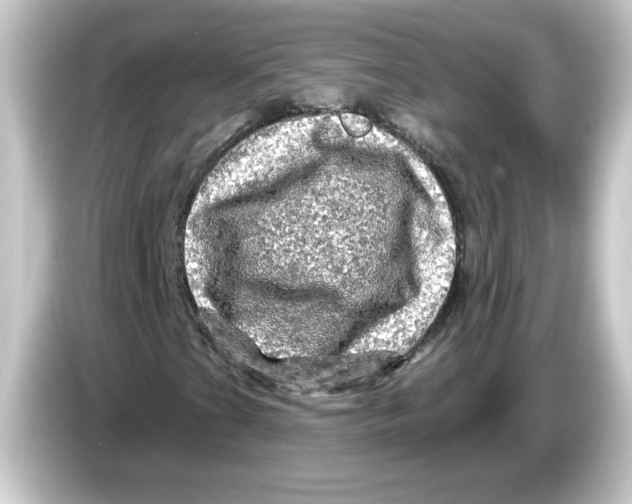 X0000084561201200703161658