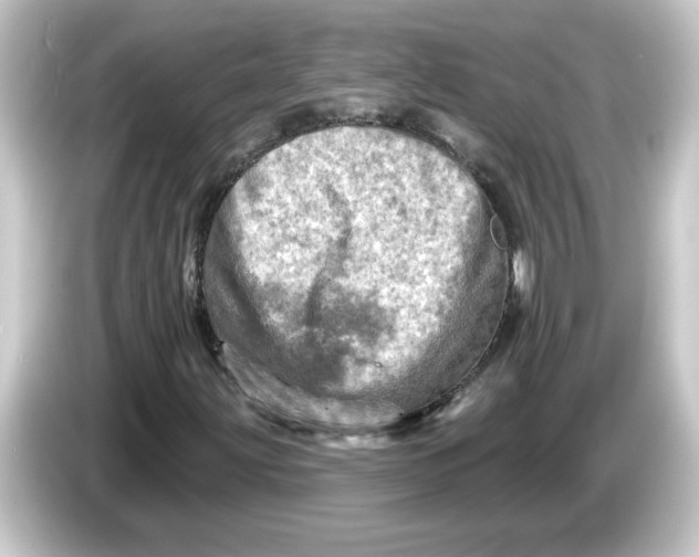 X0000084561203200703161658