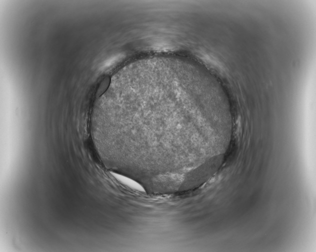 X0000084561205200703161658