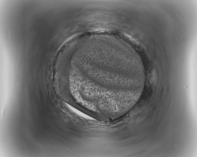 X0000084561206200703161658