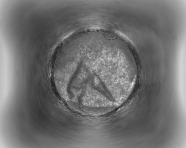 X0000084561207200703161658