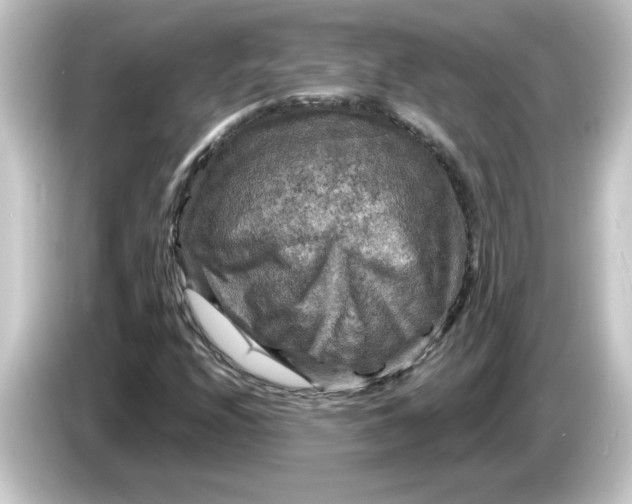 X0000084561208200703161658