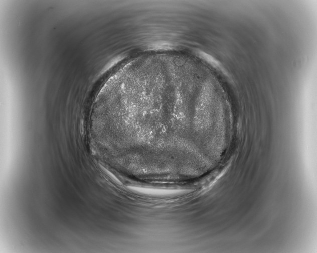 X0000084561209200703161658