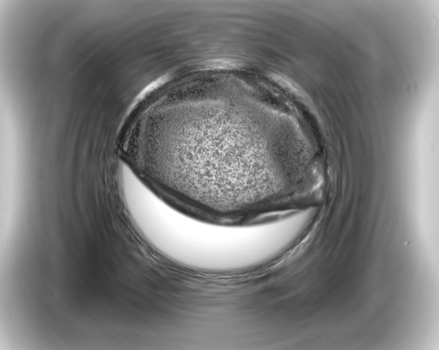 X0000084561210200703161658