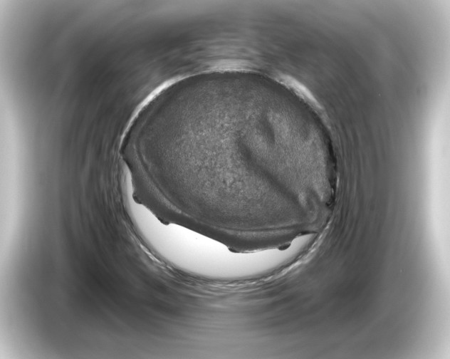 X0000084561212200703161658