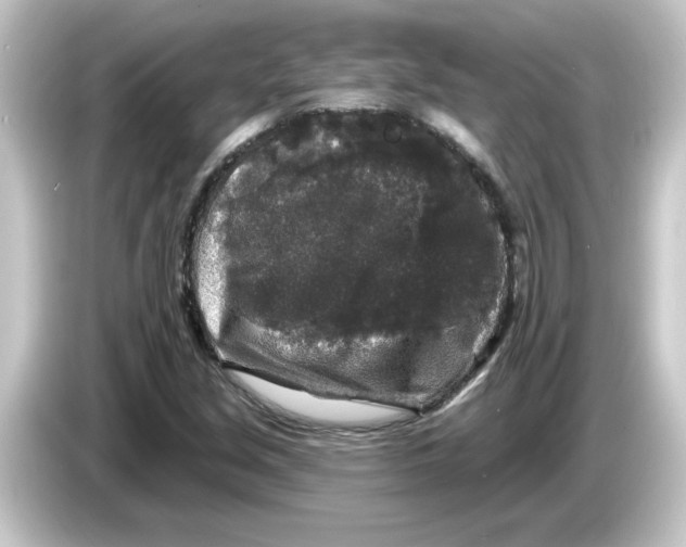 X0000084561213200703161658