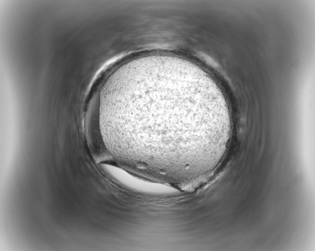 X0000084561214200703161658