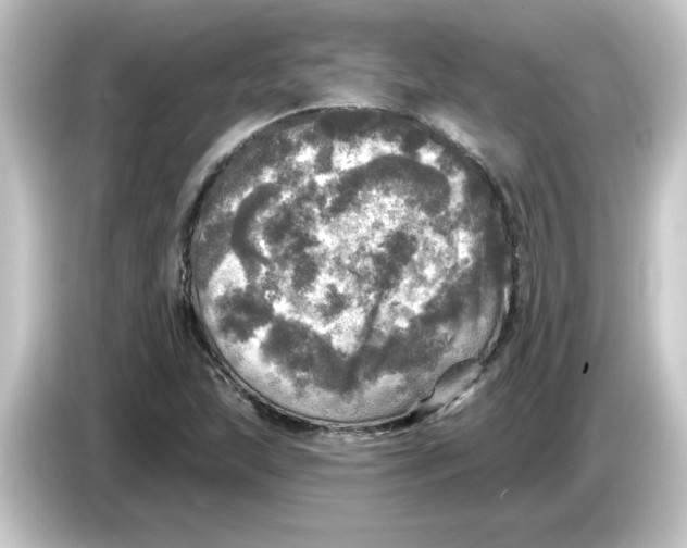 X0000084561215200703161658