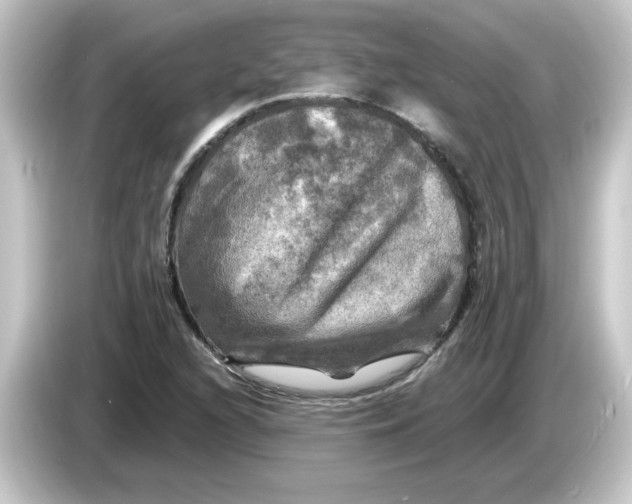 X0000084561216200703161658