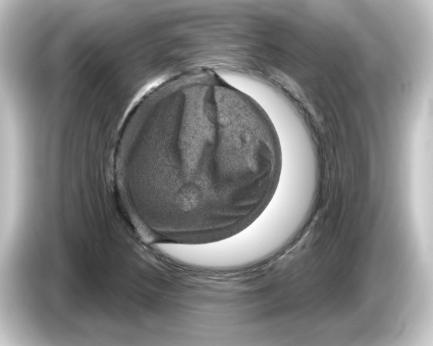 X0000084561218200703161658