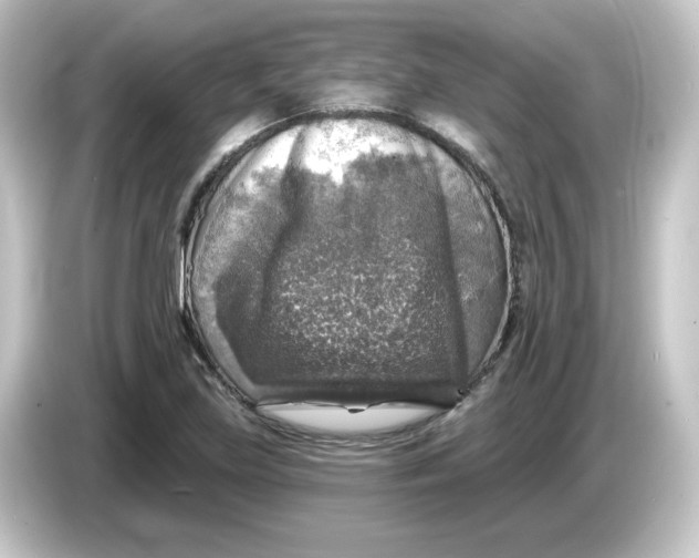 X0000084561219200703161658