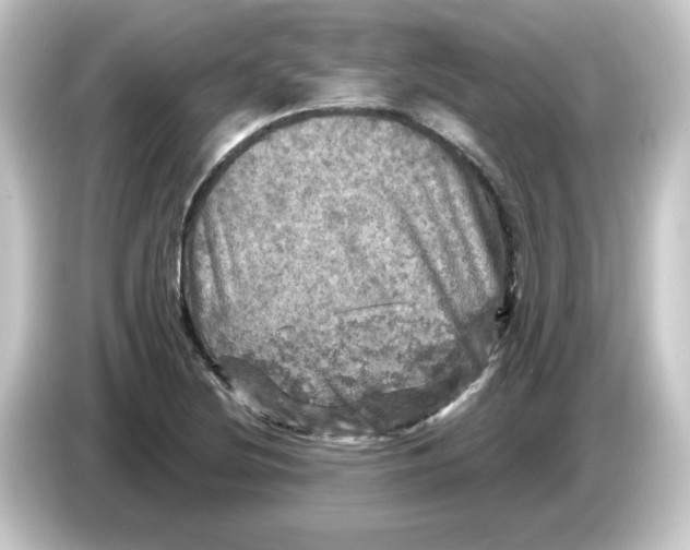 X0000084561220200703161658