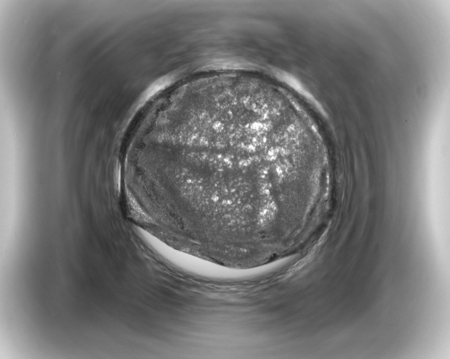 X0000084561221200703161658