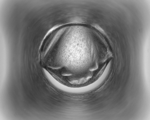 X0000084561222200703161658