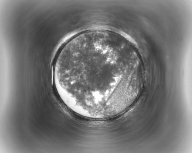 X0000084561223200703161658