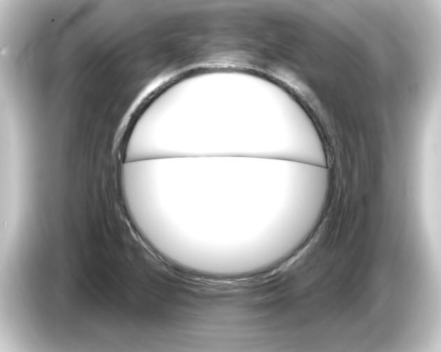 X0000084561224200703161658