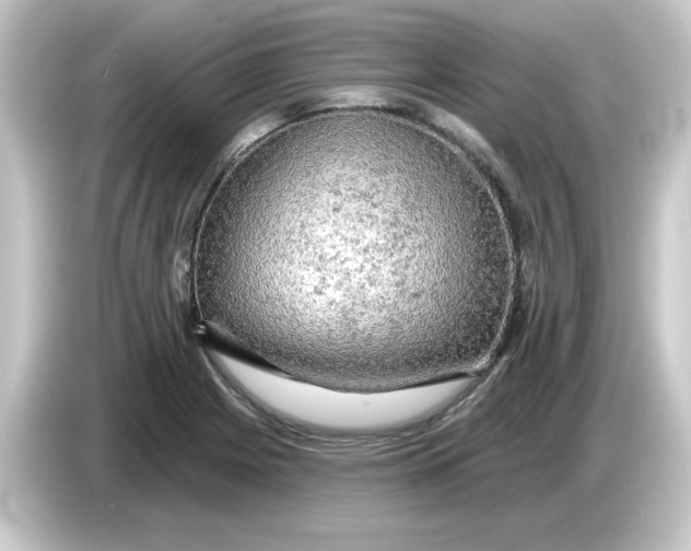 X0000084561225200703161658