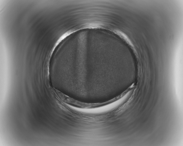 X0000084561226200703161658