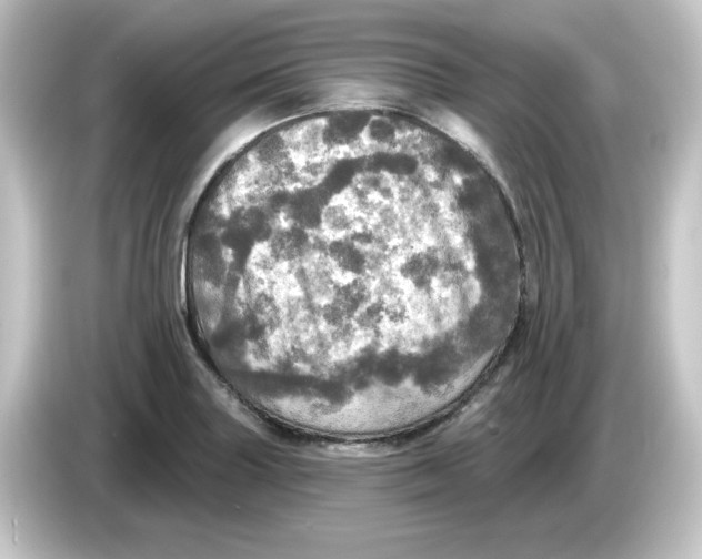 X0000084561227200703161658