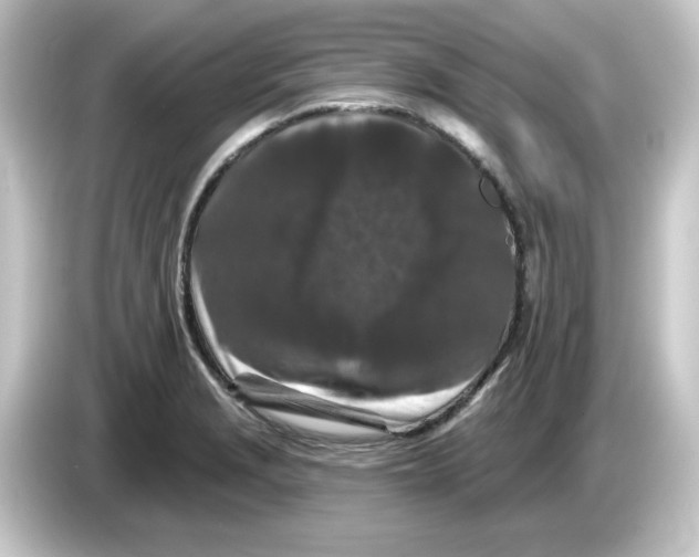 X0000084561229200703161658