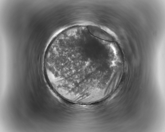 X0000084561231200703161658