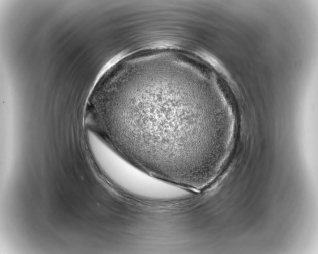 X0000084561234200703161658