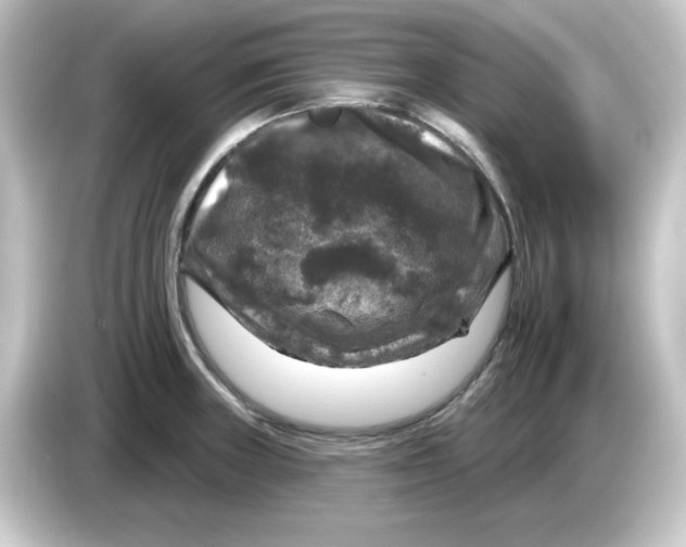 X0000084561235200703161658