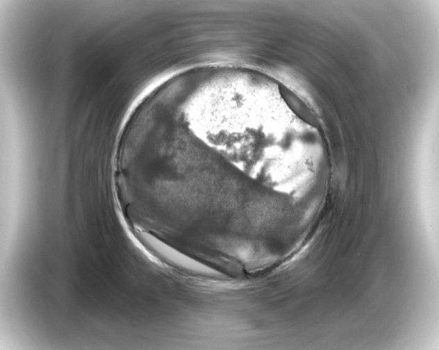 X0000084561239200703161658