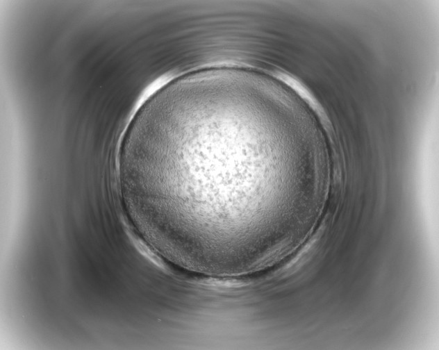 X0000084561242200703161658