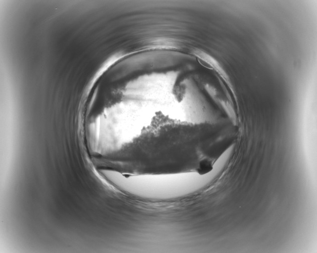 X0000084561243200703161658