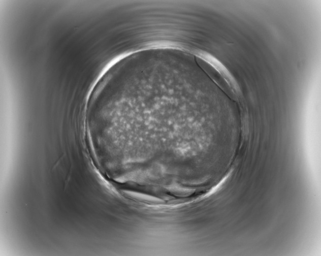 X0000084561244200703161658