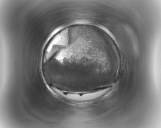 X0000084561245200703161658