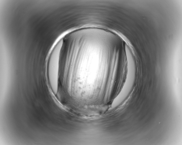 X0000084561246200703161658