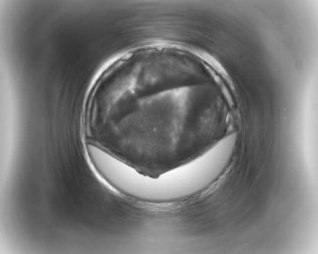 X0000084561247200703161658