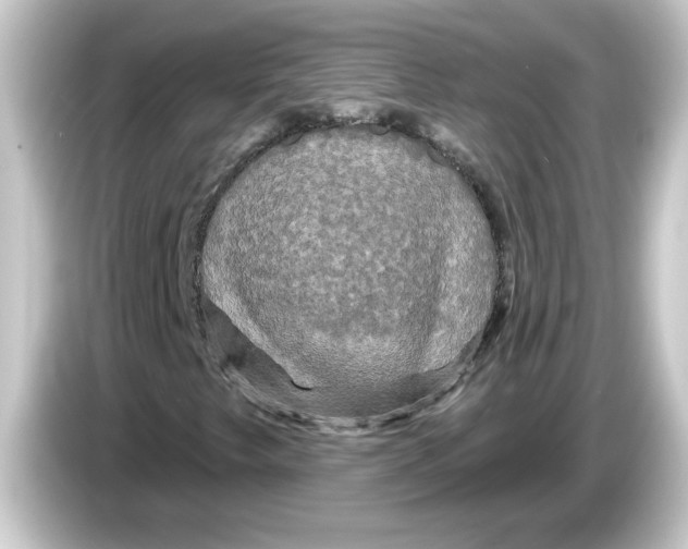 X0000084561249200703161658