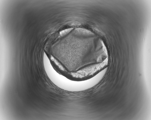 X0000084561250200703161658