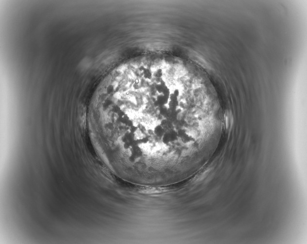 X0000084561251200703161658