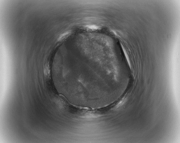 X0000084561252200703161658