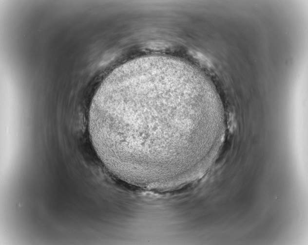 X0000084561253200703161658