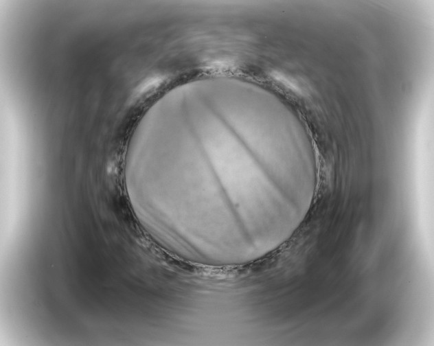 X0000084561254200703161658