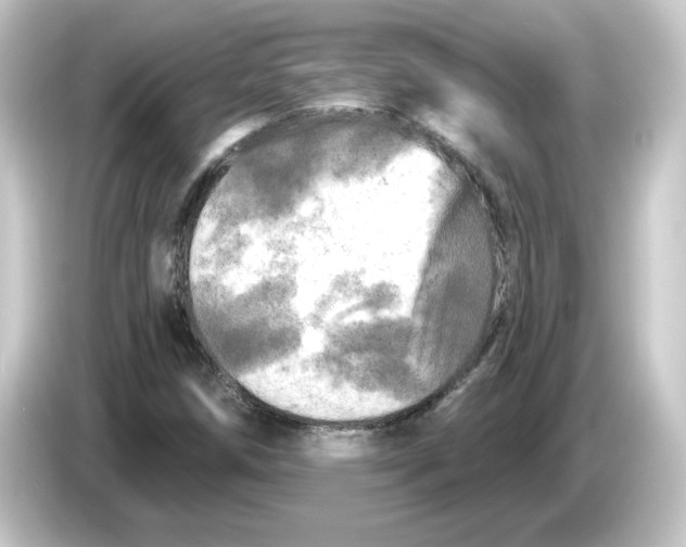 X0000084561258200703161658