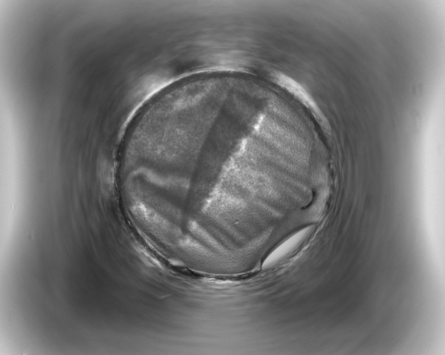 X0000084561260200703161658