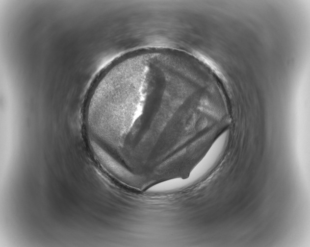 X0000084561264200703161658